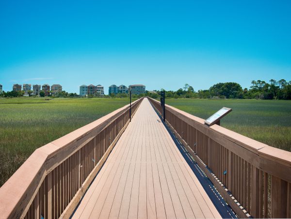 Hilton Head Condo 1008429