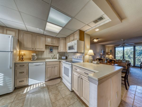 Hilton Head Condo 1008430