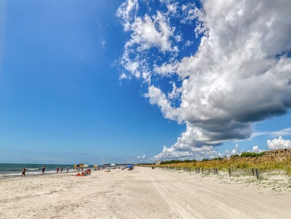Hilton Head Condo 1008430