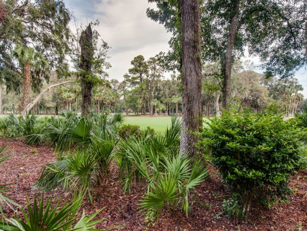 Hilton Head Condo 1008434