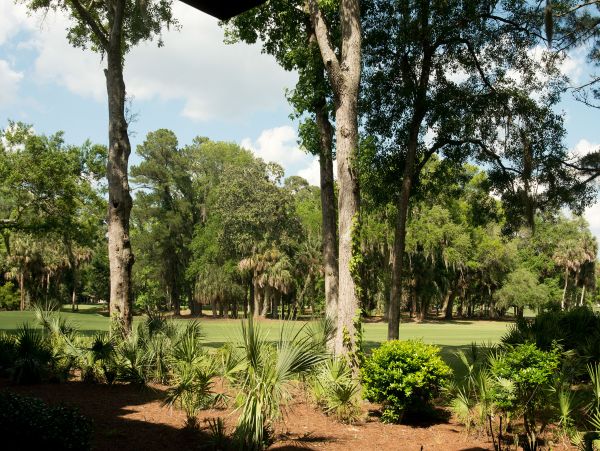 Hilton Head Condo 1008434