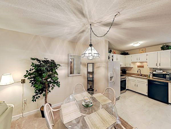 Hilton Head Condo 1008435