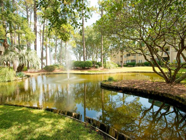 Hilton Head Condo 1008435
