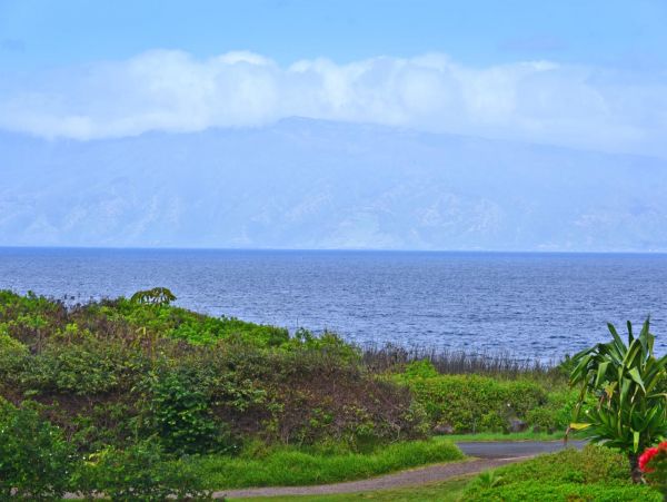 Ocean Views Kapalua Vacation Condo One Bedroom Sleeps Four