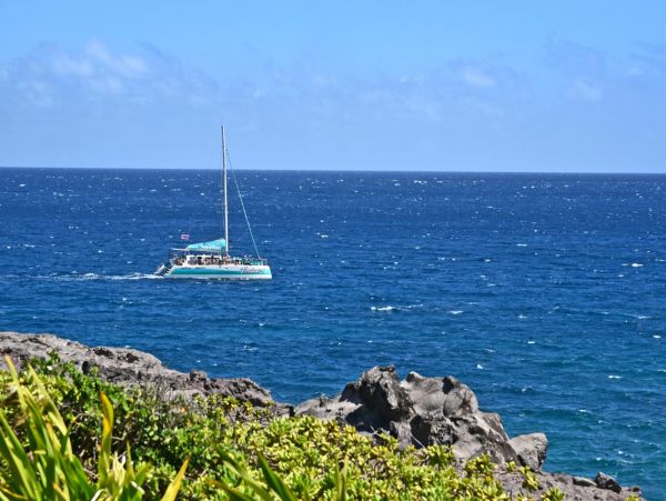 Ocean Views Kapalua Vacation Condo One Bedroom Sleeps Four