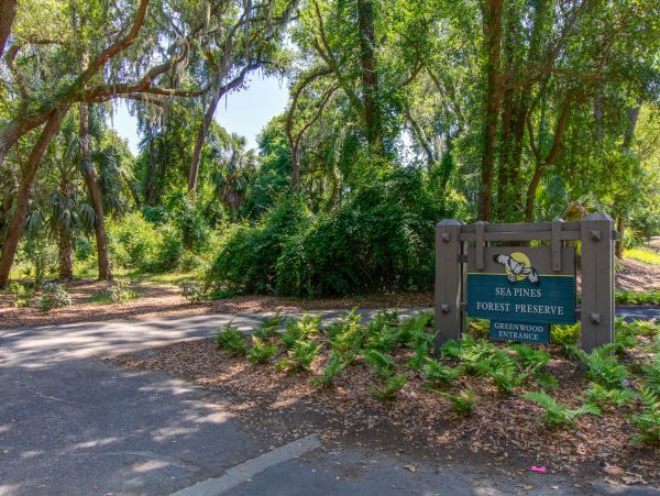 Hilton Head Condo 1008447
