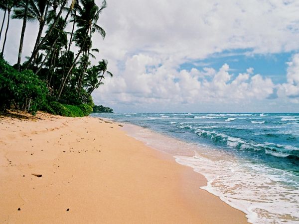 Maui Six Bedroom Vacation Home Close to Beach Sleeps 12