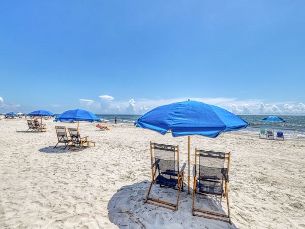 Hilton Head Condo 1008450