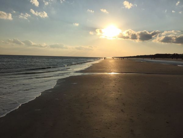 Hilton Head Condo 1008451