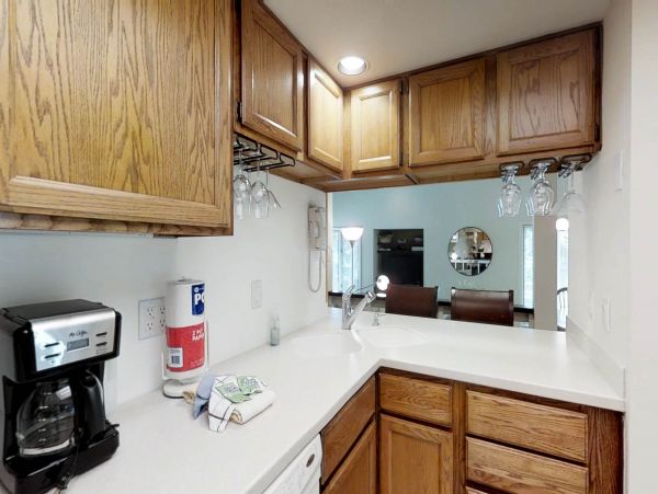 Hilton Head Condo 1008453
