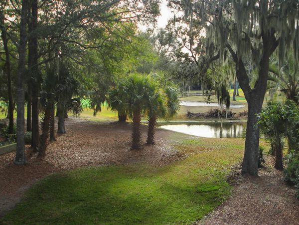 Hilton Head Condo 1008453