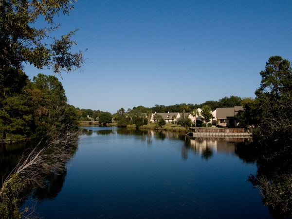 Hilton Head Condo 1008459