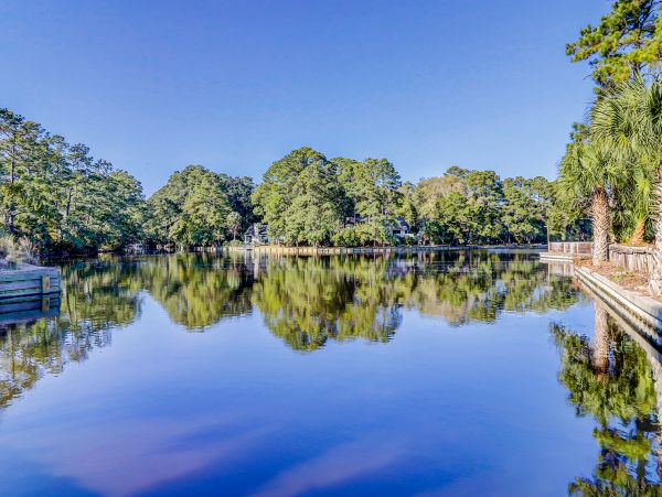 Hilton Head Condo 1008465