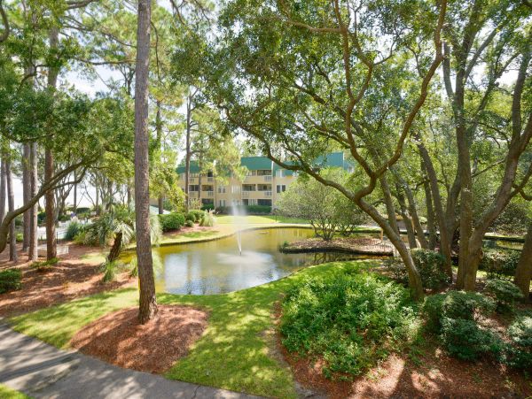 Hilton Head Condo 1008474