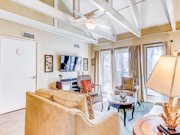 Hilton Head Condo 1008476