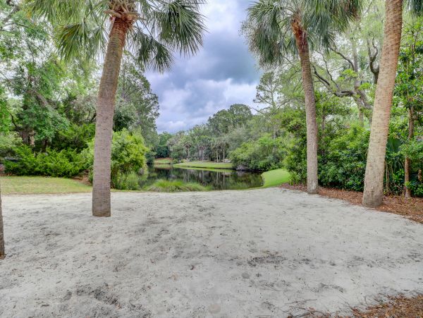 Hilton Head Home 1008478