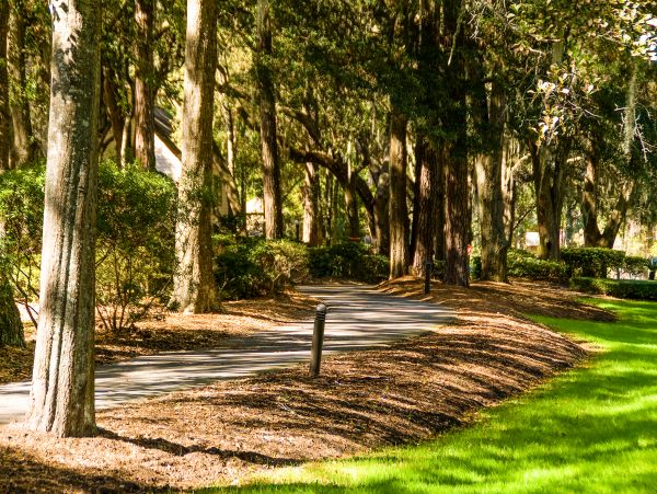 Hilton Head Dog-Friendly Villa with 2 Bedrooms Lagoon Views