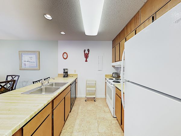 Hilton Head Condo 1008480