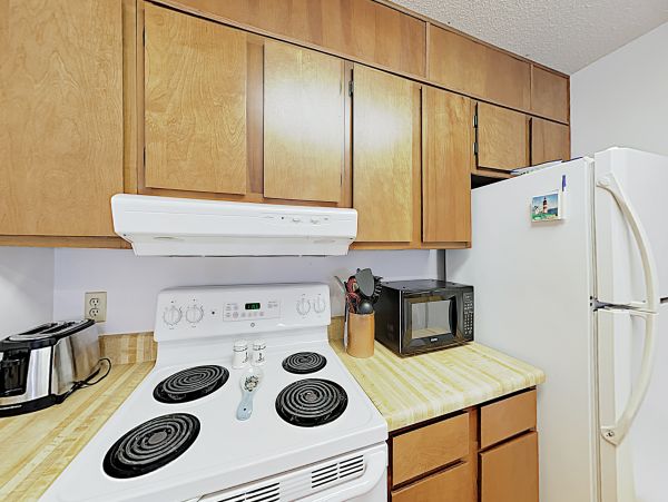 Hilton Head Condo 1008480