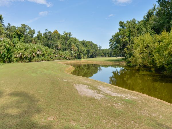 Hilton Head Condo 1008484