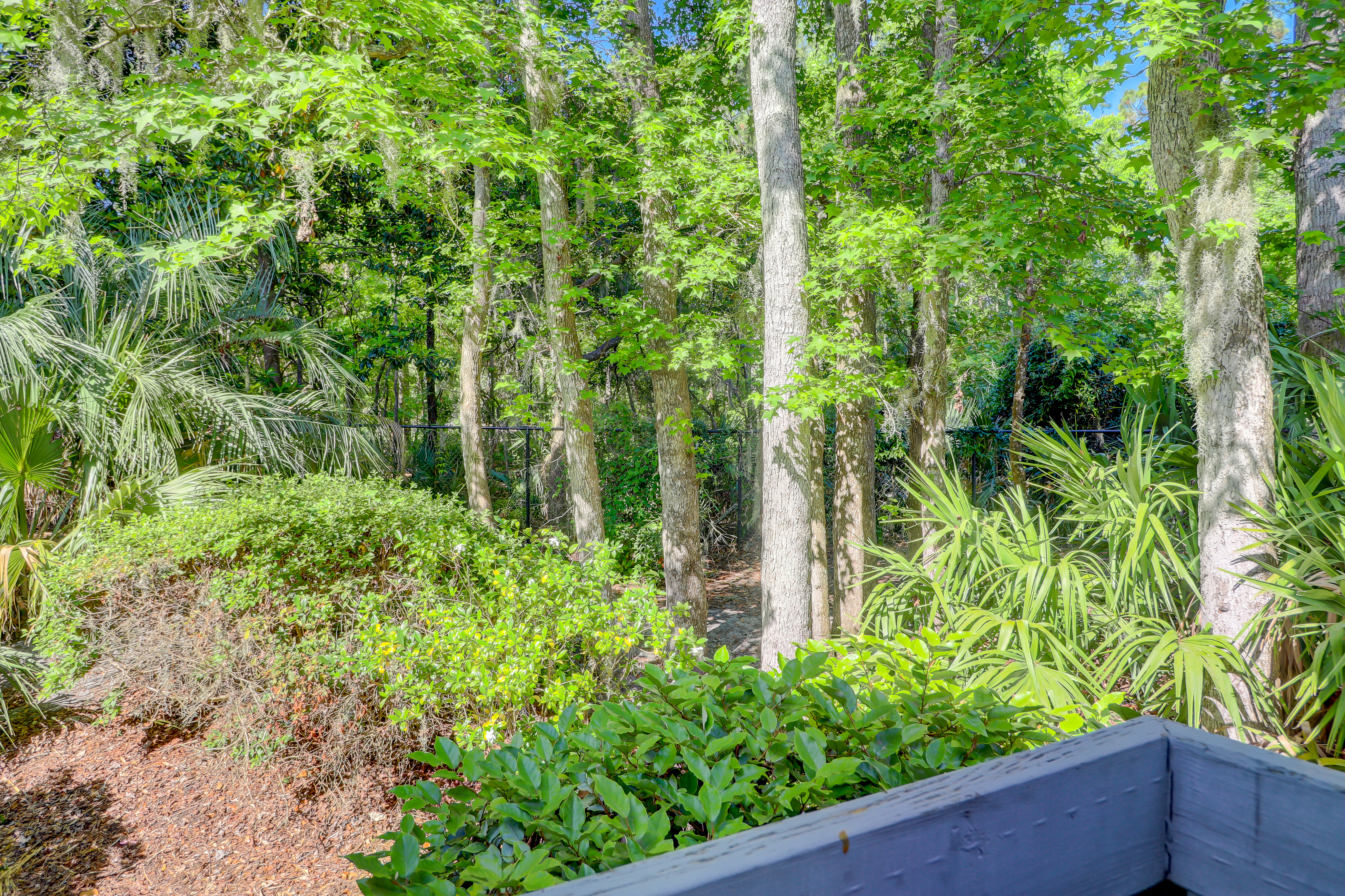 Hilton Head Condo 1008491