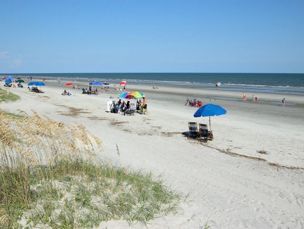 Hilton Head Condo 1008491