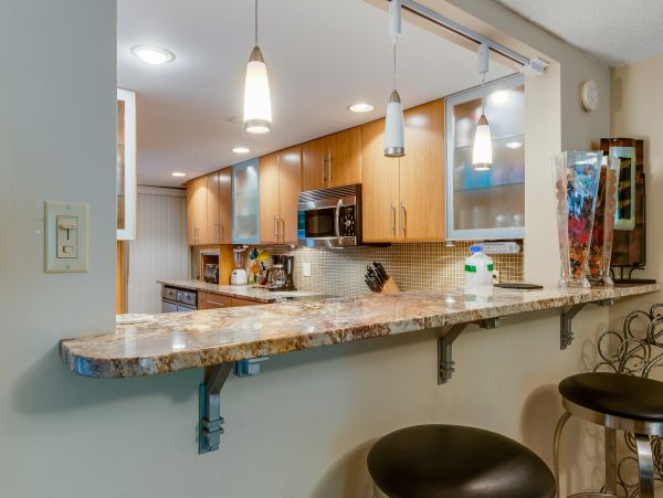 Hilton Head Condo 1008498