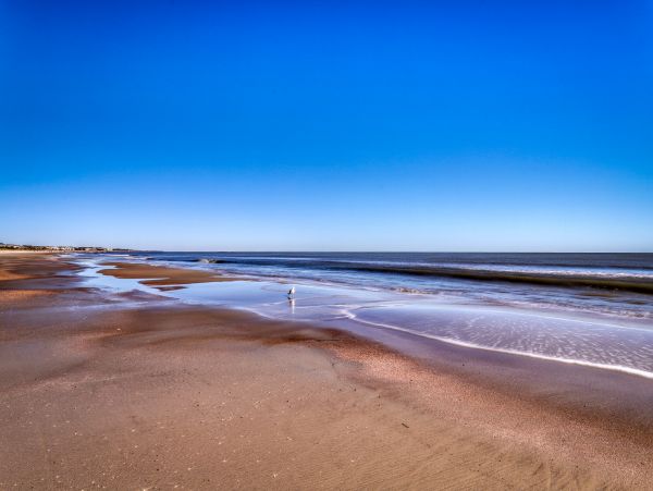 Hilton Head Home 1008499