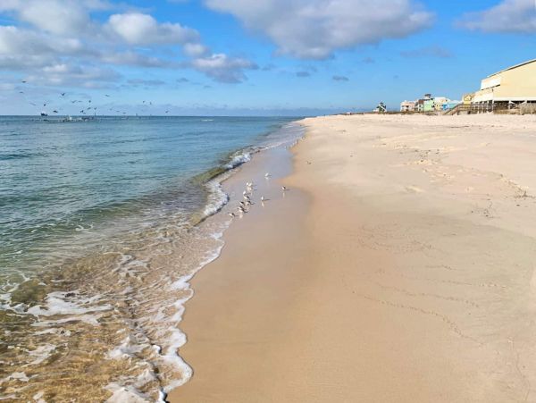 Gulf Shores Beachfront Vacation Home Sleeps 20 Guests