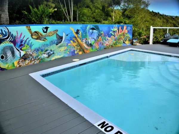 St. Croix Vacation Pool Home Six Bedroom Amazing Ocean View