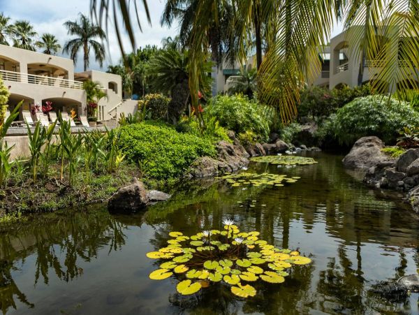 Luxury Wailea Ground Level Vacation Condo Two Bedrooms