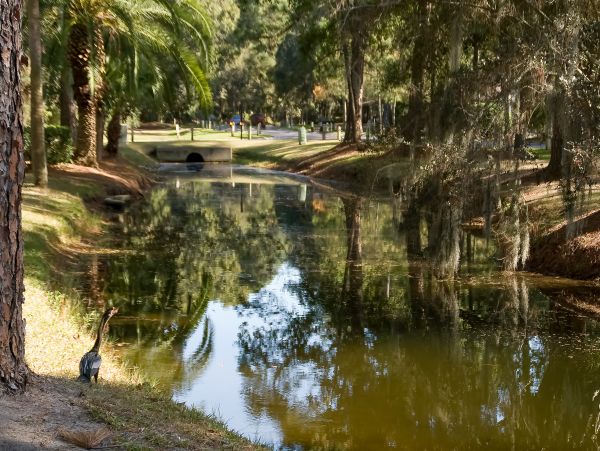 Hilton Head Condo 1008541