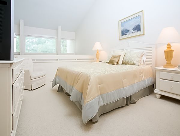 Hilton Head Condo 1008541