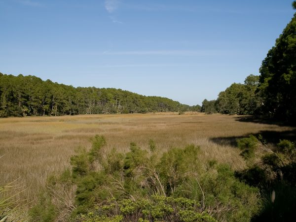 Hilton Head Condo 1008541