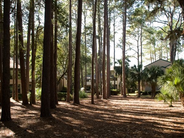 Hilton Head Condo 1008541