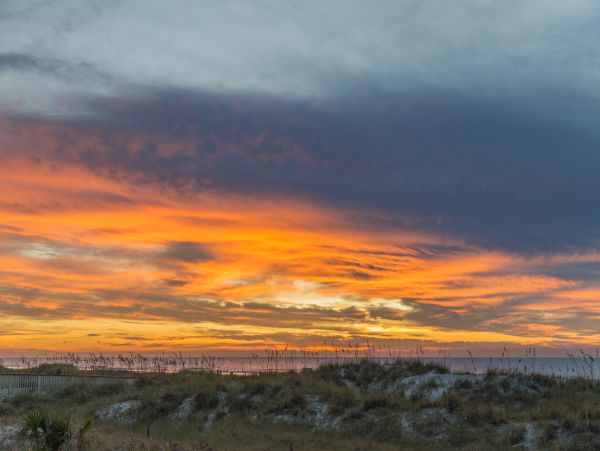 Hilton Head Condo 1008541