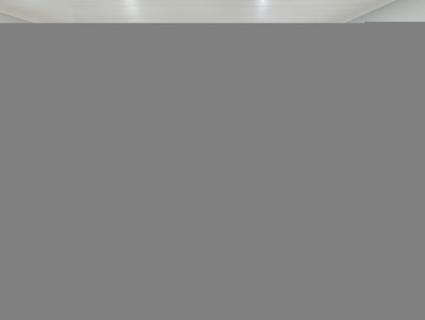 Hilton Head Condo 1008543