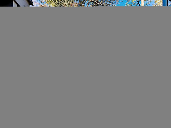 Hilton Head Condo 1008543