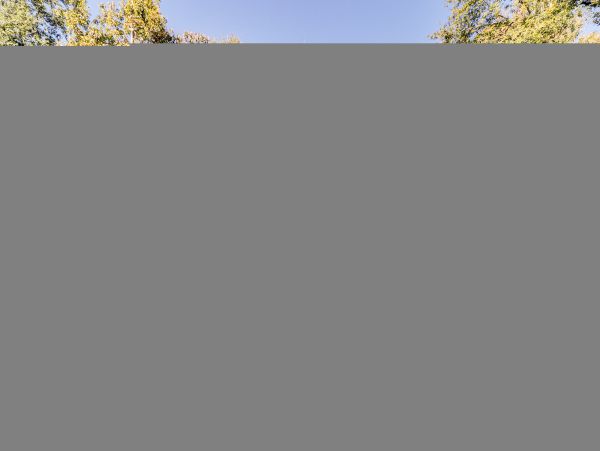 Hilton Head Condo 1008543