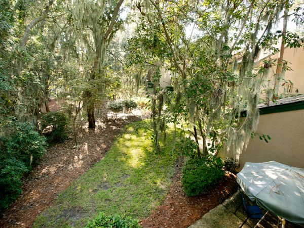 Hilton Head Condo 1008545