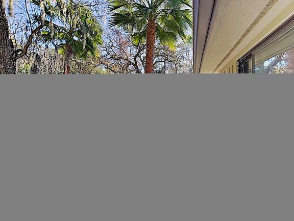 Hilton Head Condo 1008549
