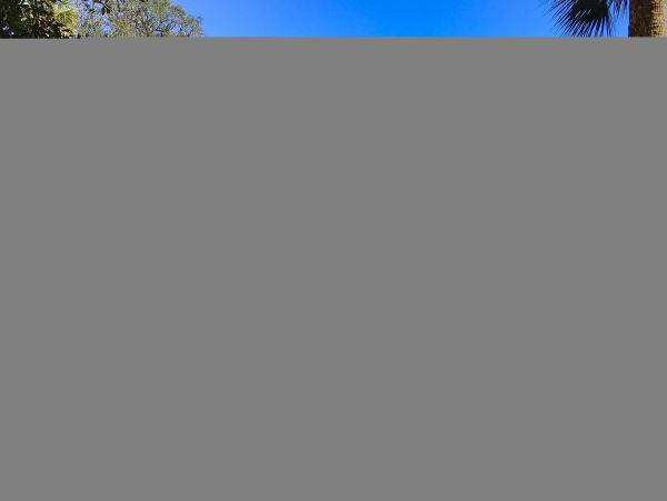 Hilton Head Condo 1008549
