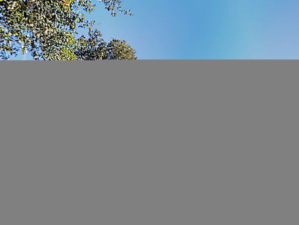 Hilton Head Condo 1008549