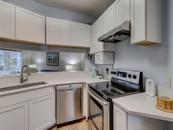 Hilton Head Condo 1008561