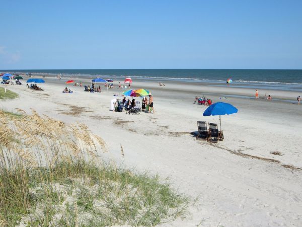Hilton Head Condo 1008561