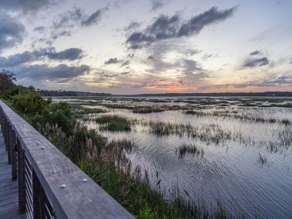 Hilton Head Condo 1008561