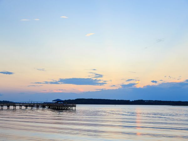 Hilton Head Condo 1008561