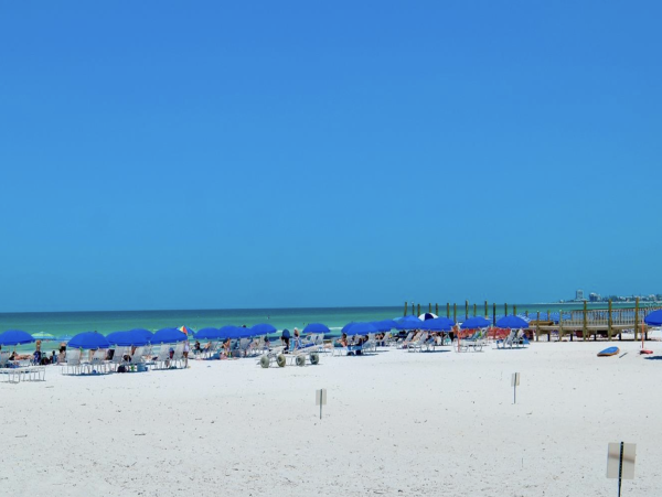Gulf Views Siesta Key Vacation Beach Condo Two Bedrooms