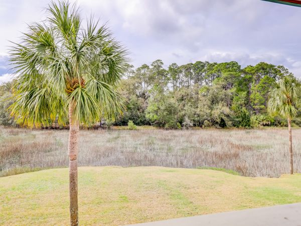 Hilton Head Condo 1008569