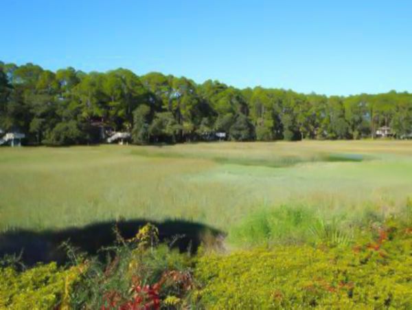 Hilton Head Condo 1008571